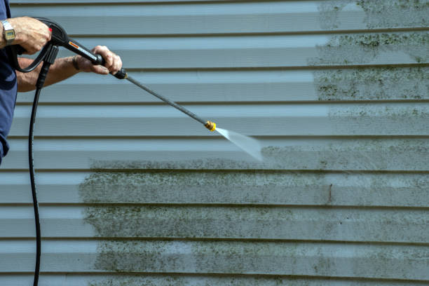 Best Residential Pressure Washing Services  in Bowman, ND